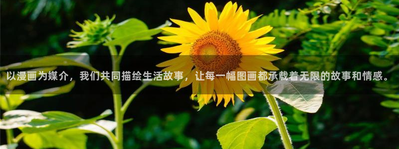 风车漫画在线看