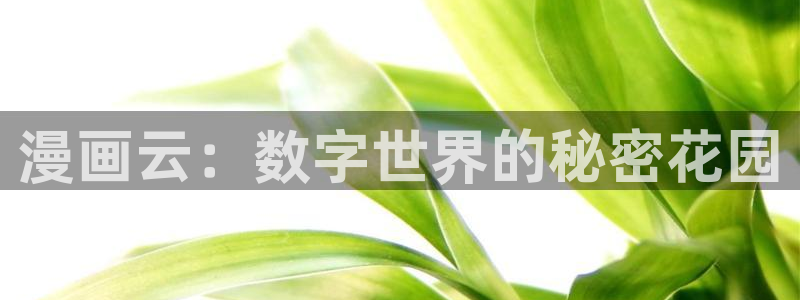 风车漫画免费看