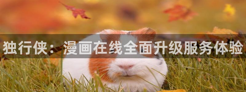 风车漫画官网